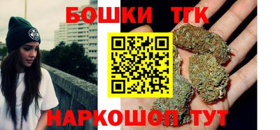 МДПВ Новозыбков