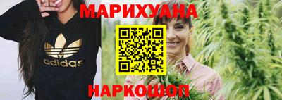 МДПВ Новозыбков