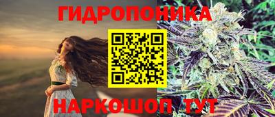 МДПВ Новозыбков