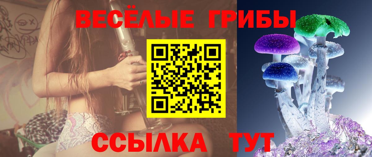 Оренбург  Галлюциногенные грибы прущие грибы  Вход с VPN 